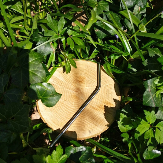 🥤PAILLE INOX Coudée 20 cm