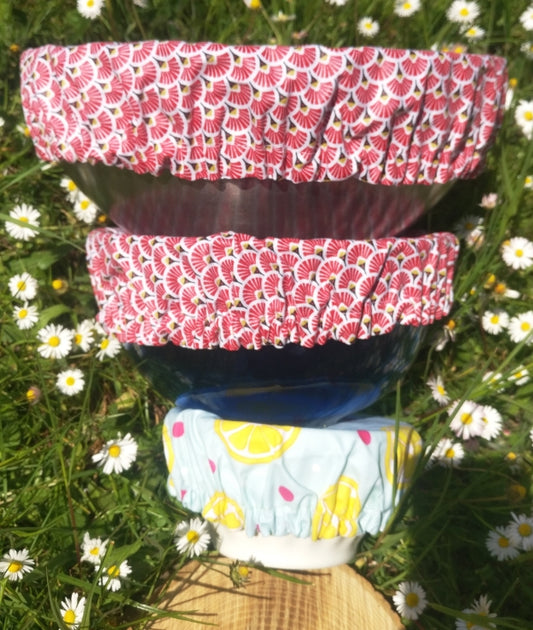 🌱🍀 Charlotte Alimentaire